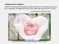 Dry Erase Magnetic Multipurpose Planner- Hybrid Pink Tea Rose Heart Flower