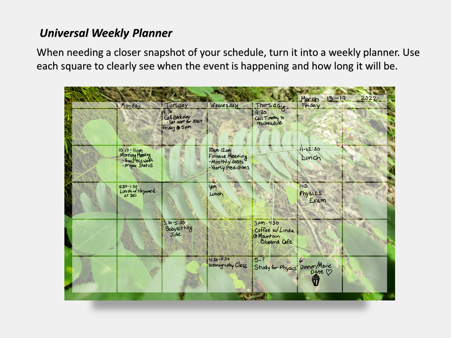 Digital Multipurpose Planner- Green Fern