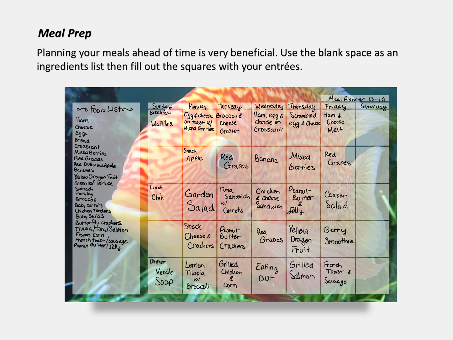 Digital Multipurpose Planner- Banded Cichlid Orange fish