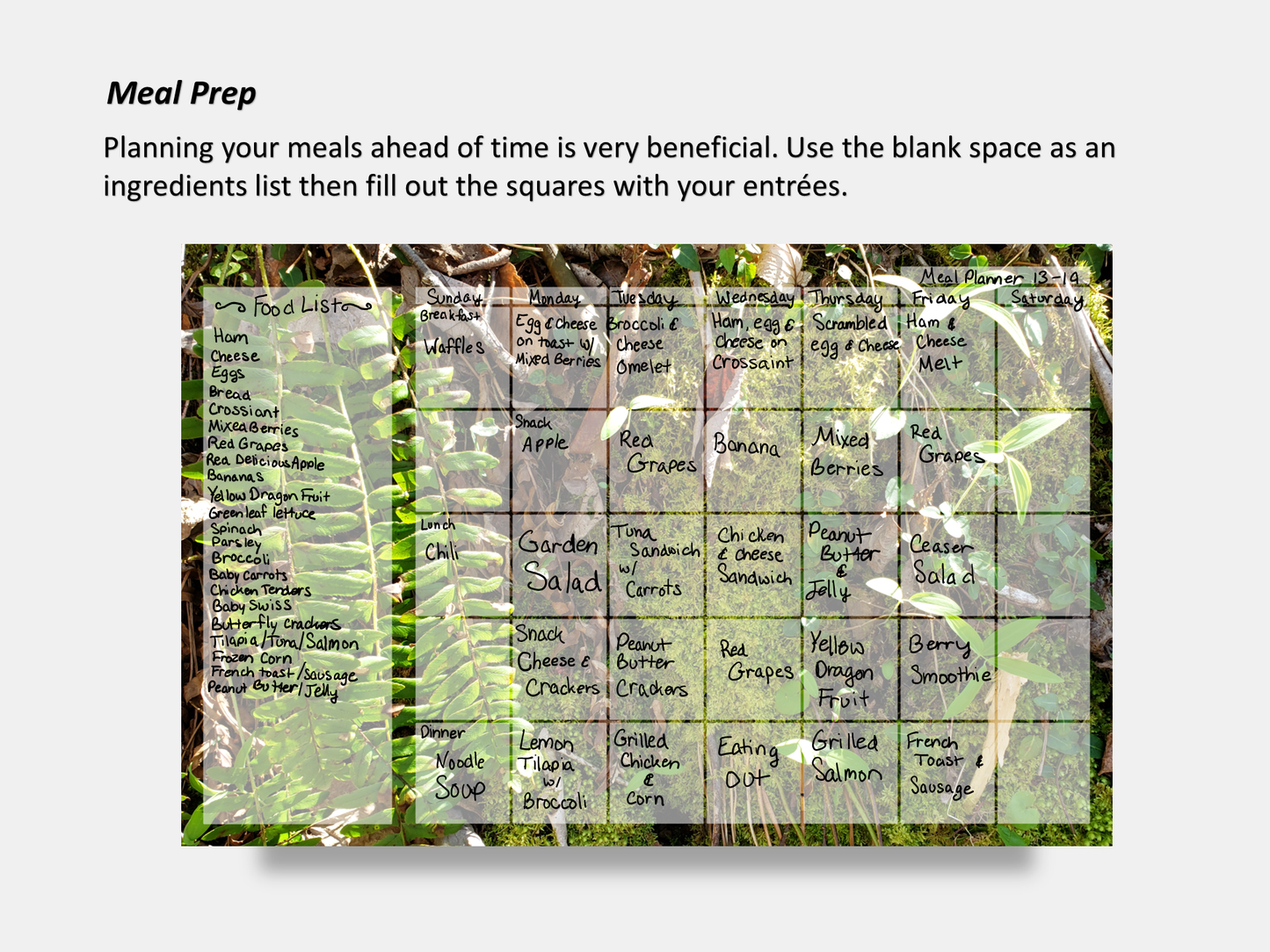Digital Multipurpose Planner- A mossy cliff with ferns