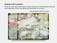Digital Multipurpose Planner- Christmas Holly Plant Red Berries