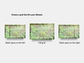 Digital Multipurpose Planner- Green Fern