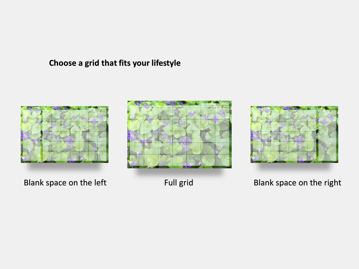 Digital Multipurpose Planner- A Field of Violets