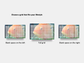 Digital Multipurpose Planner- Banded Cichlid Orange fish