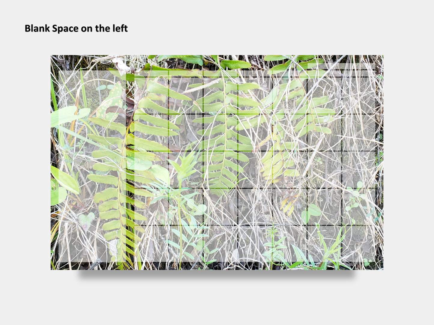 Digital Multipurpose Planner- A wall of green and yellow ferns