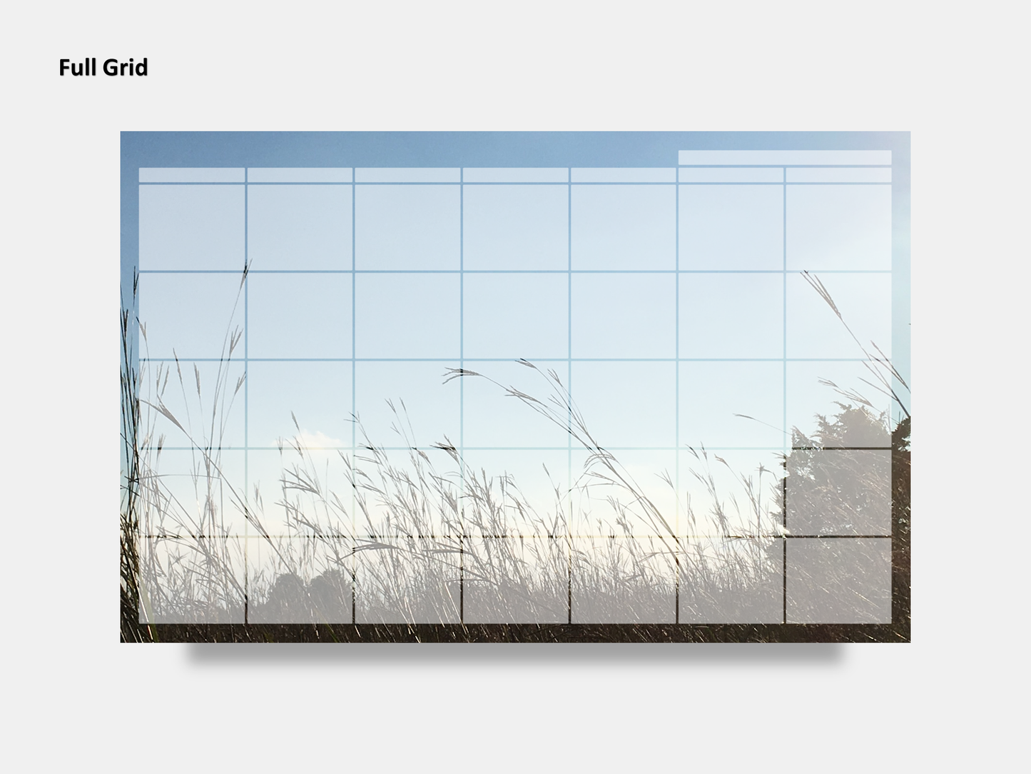 Digital Multipurpose Planner- Beach Grass in the Sunset