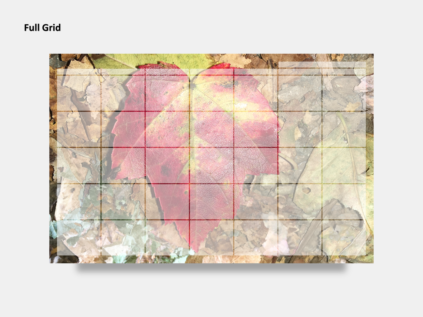 Digital Multipurpose Planner- Autumn Red and Orange Leaf