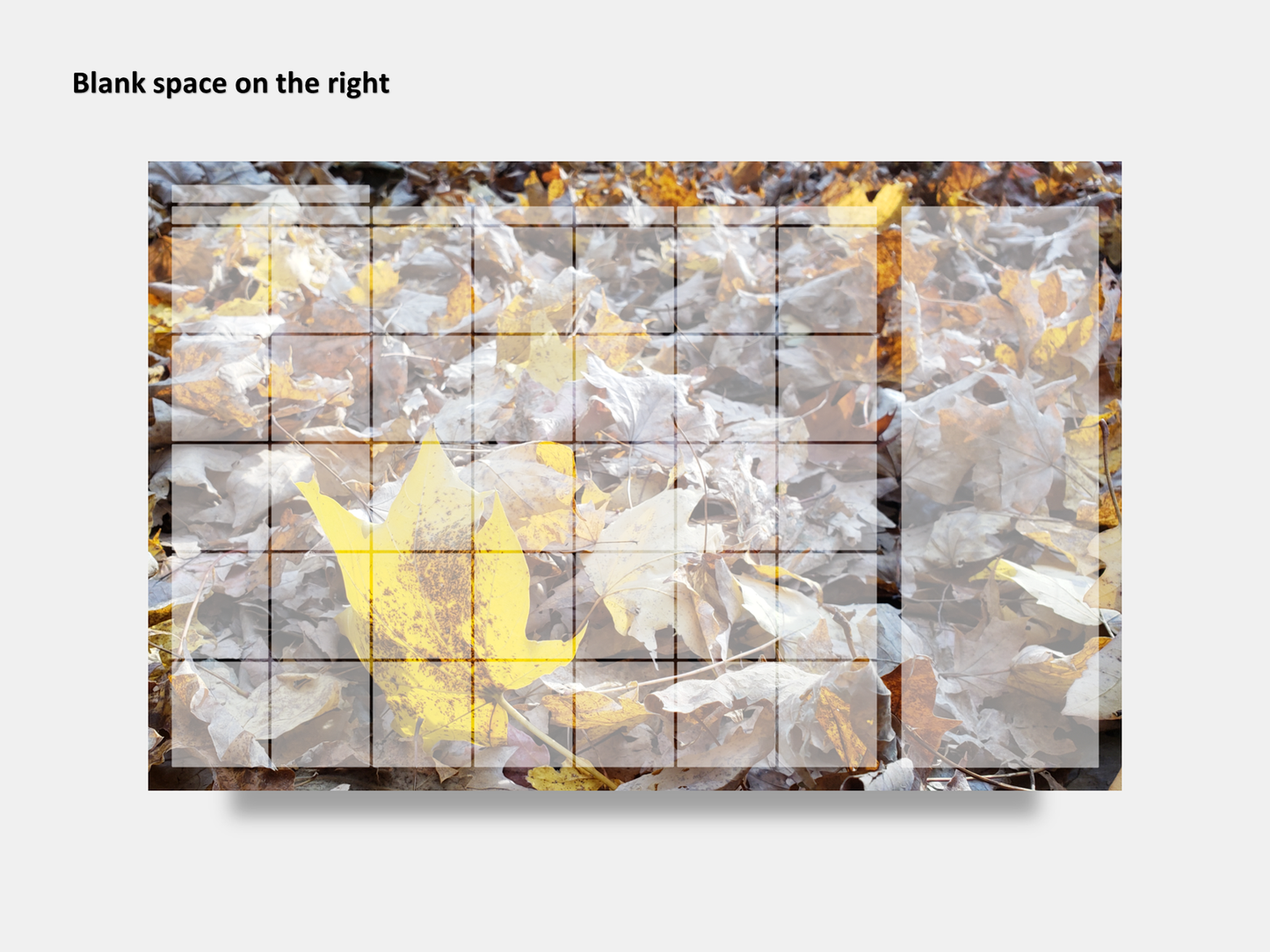 Digital Multipurpose Planner- A Golden Forest Floor