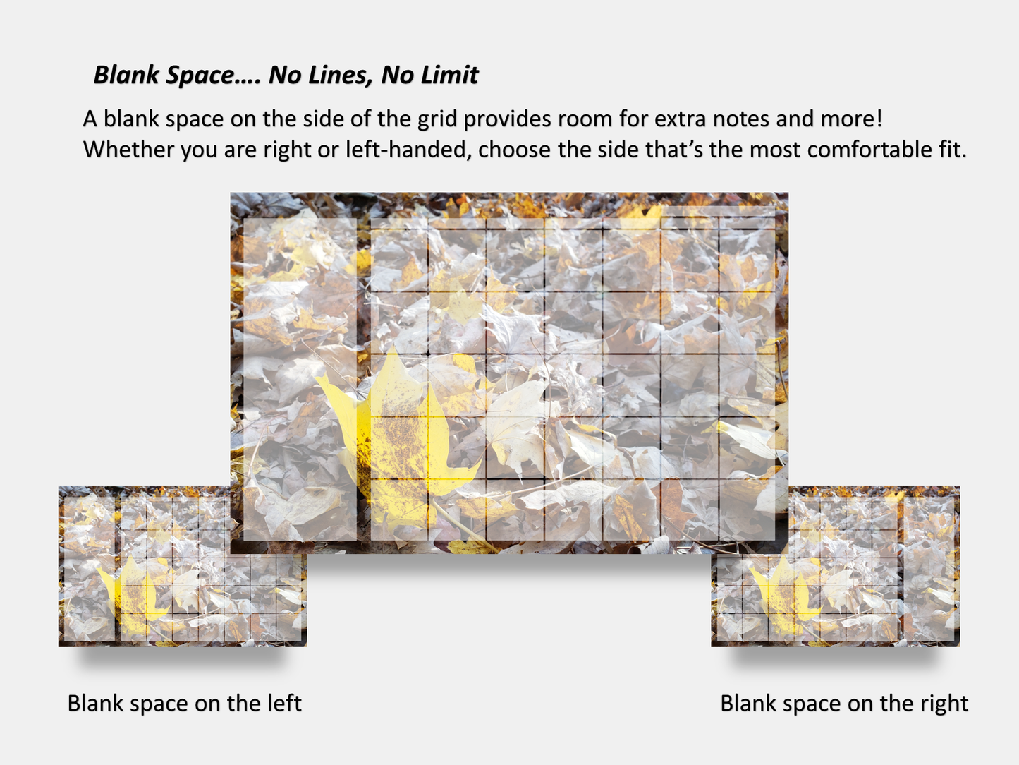 Digital Multipurpose Planner- A Golden Forest Floor