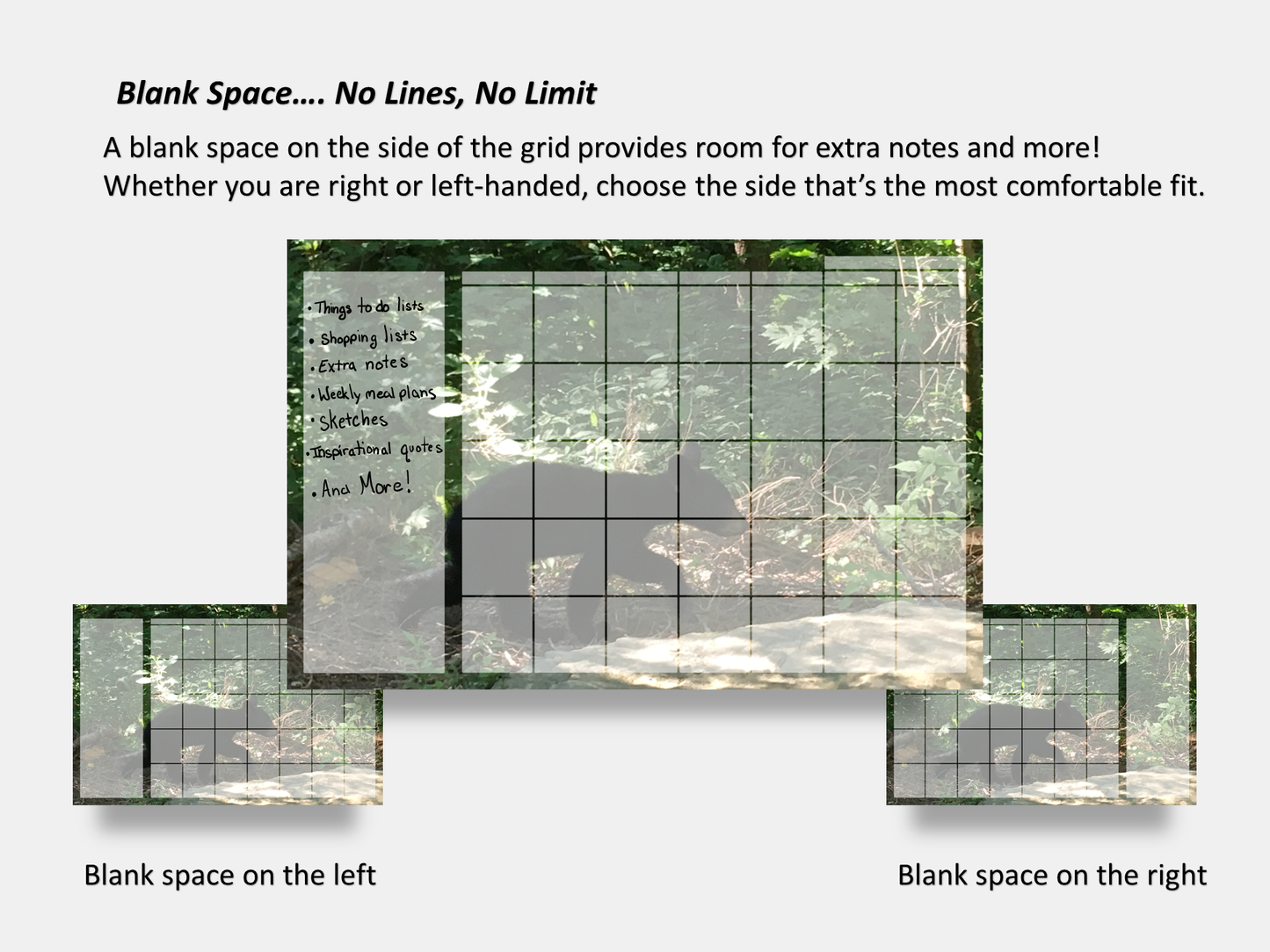 Digital Multipurpose Planner- Baby Black Bear