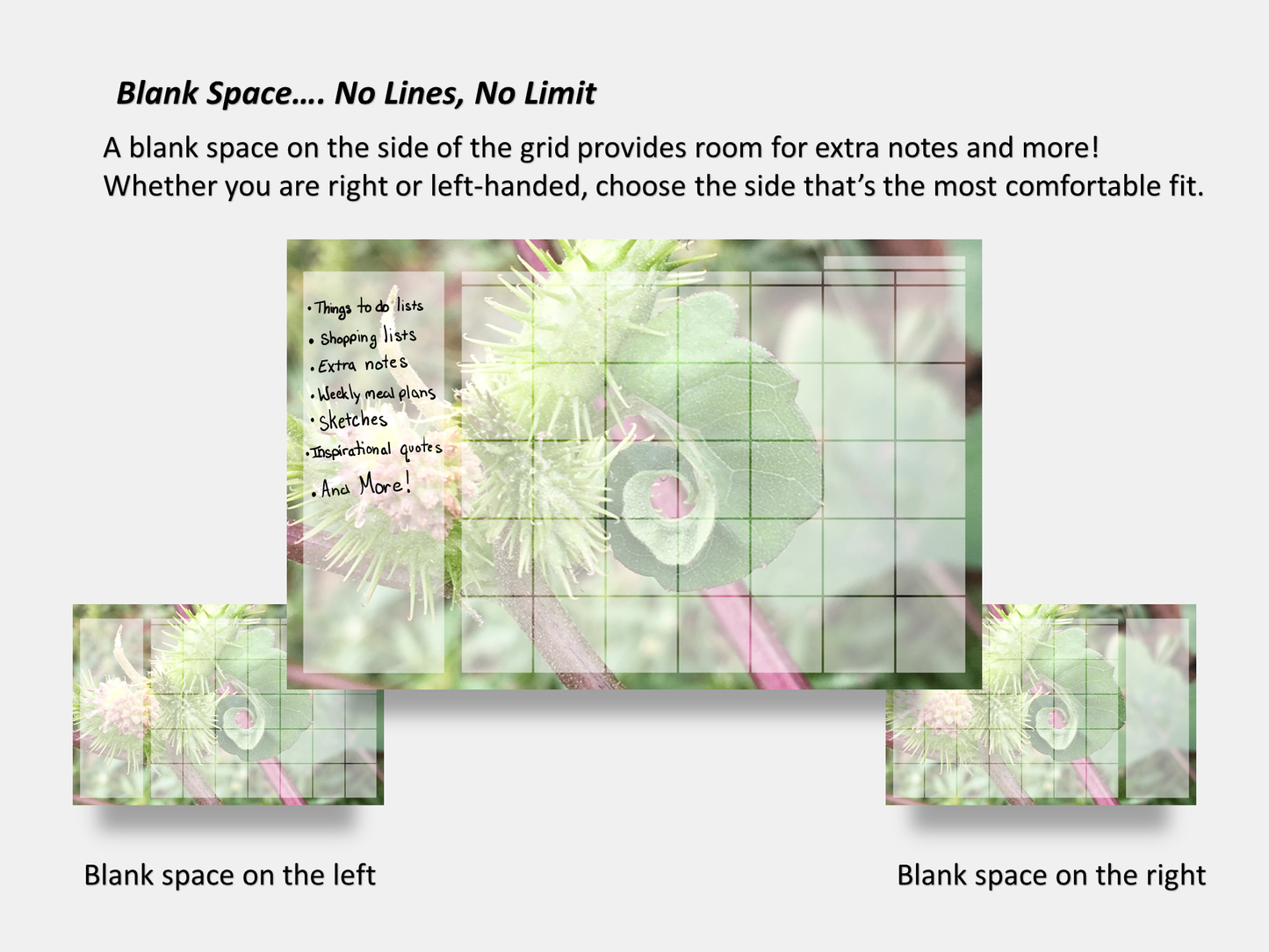 Digital Multipurpose Planner- Curly Twisted Rough Cocklebur