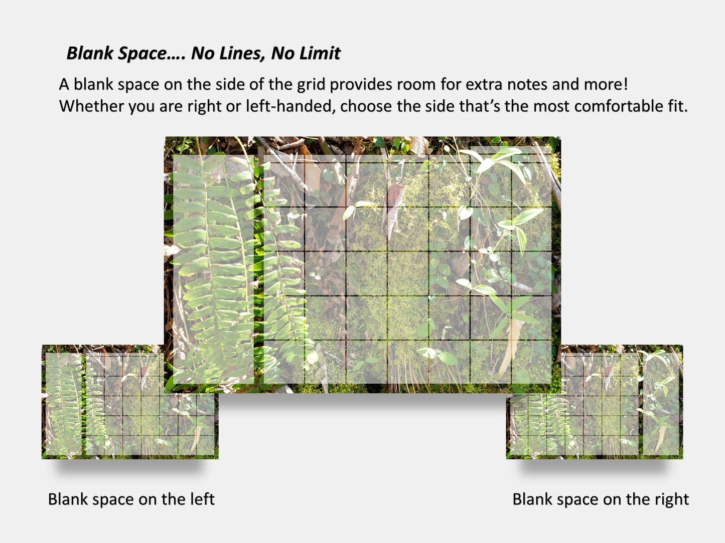 Digital Multipurpose Planner- A mossy cliff with ferns