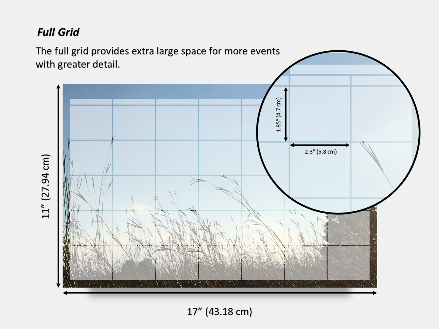 Digital Multipurpose Planner- Beach Grass in the Sunset