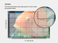 Digital Multipurpose Planner- Banded Cichlid Orange fish