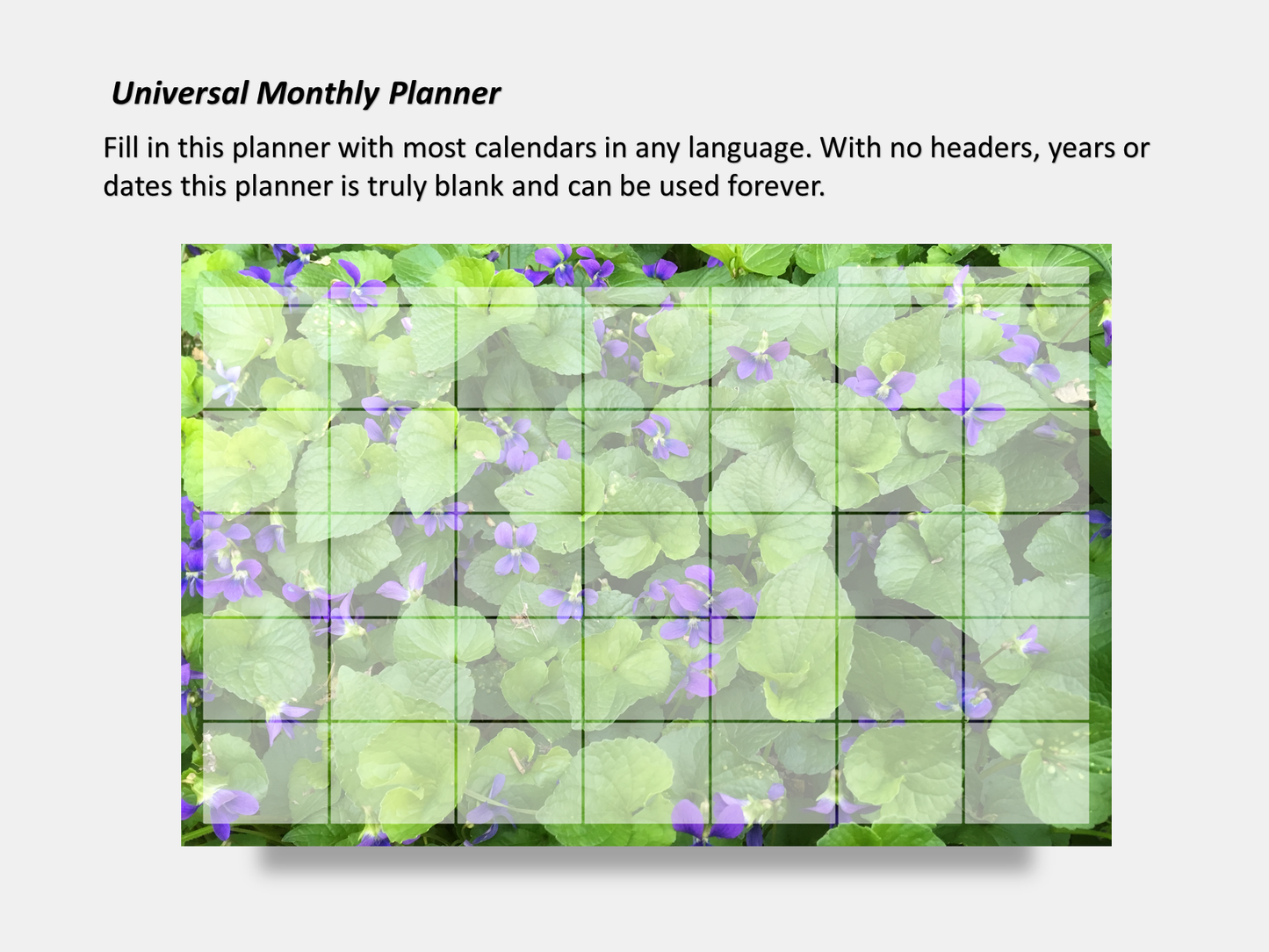 Digital Multipurpose Planner- A Field of Violets