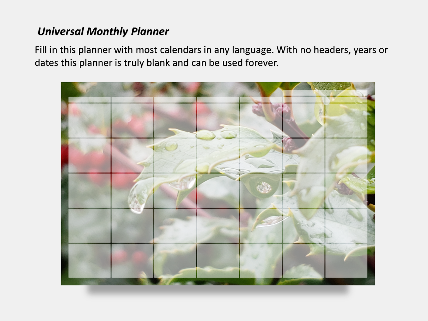 Digital Multipurpose Planner- Christmas Holly Plant Red Berries
