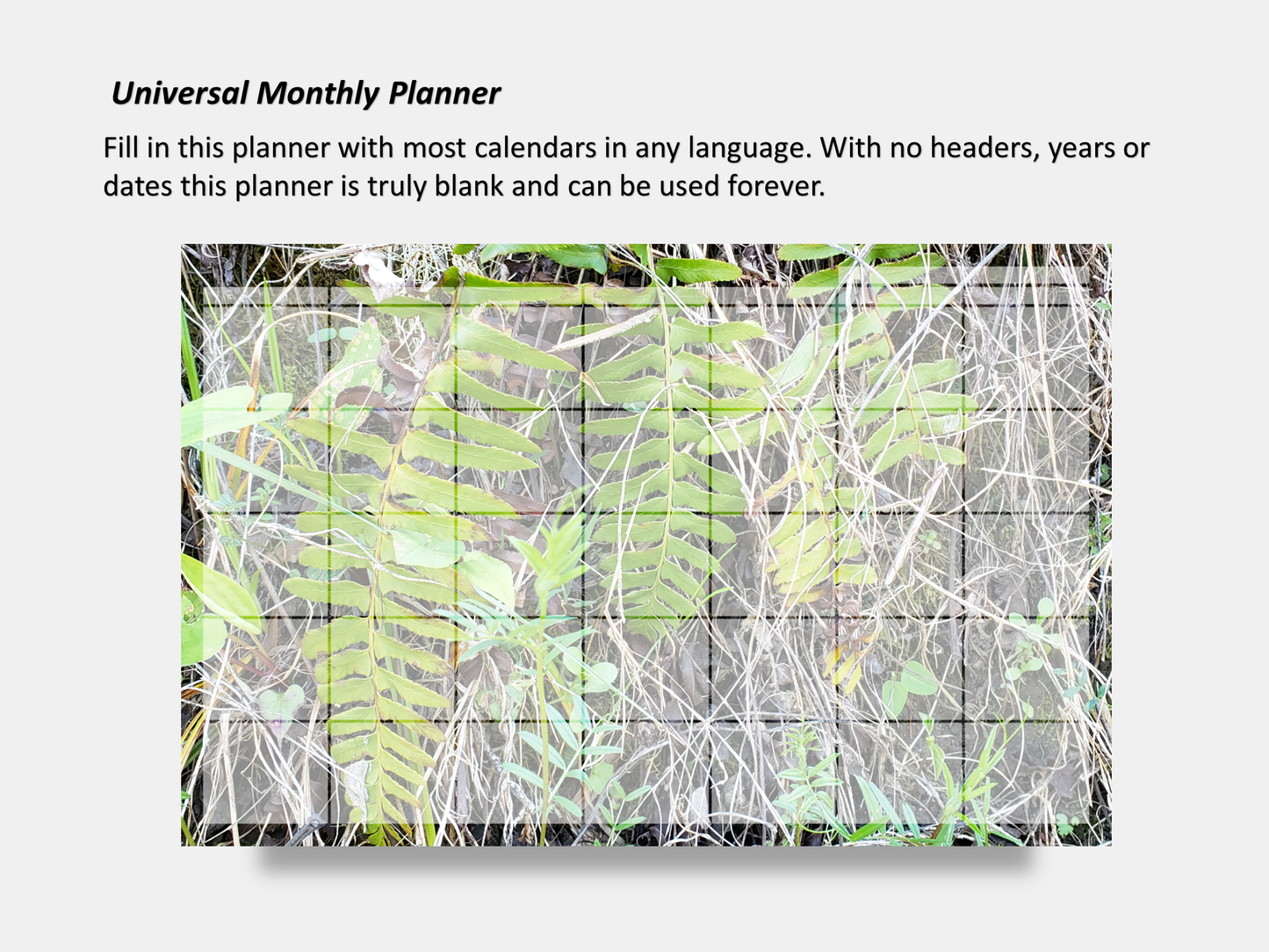 Digital Multipurpose Planner- A wall of green and yellow ferns